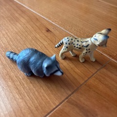 アニア　くじの画像