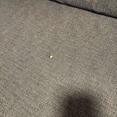 ニトリ ノアーク カウチソファ　ソファベッド　 3人掛け  収納付きの画像