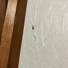 昭和型板ガラス入り障子70cm巾4枚の画像