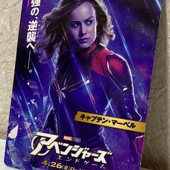 【来場者特典】アベンチャーズエンドゲームの画像