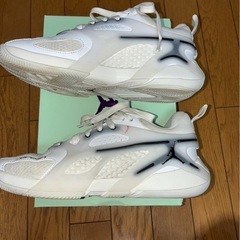 ジョーダン エアー シリーズ PF バスケットボールシューズ FZ2473-110の画像