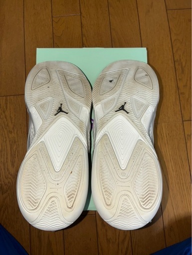 ジョーダン エアー シリーズ PF バスケットボールシューズ FZ2473-110