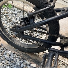 MARIN キッズ　自転車の画像
