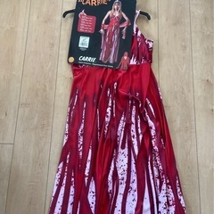 ハロウィンコスチューム
🎃 Carrie の画像
