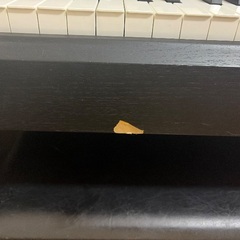 ヤマハＡＲＩＵＳの画像