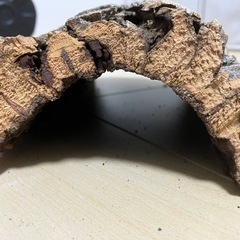 止まり木（爬虫類・カブト・クワガタ）の画像