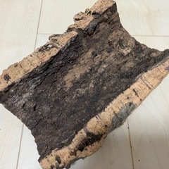 止まり木（爬虫類・カブト・クワガタ）の画像