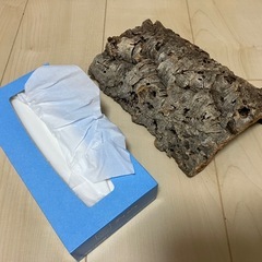 止まり木（爬虫類・カブト・クワガタ）の画像