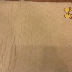 赤ちゃんの寝床の画像