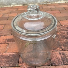 ガラス製保存容器
の画像