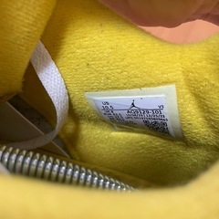 エアジョーダン4 vivitsalferの画像