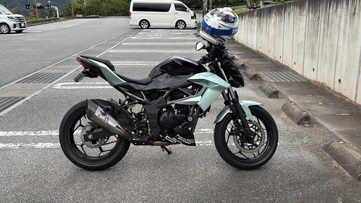 z250sl 2016 ABSなし