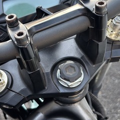 z250sl 2016 ABSなしの画像