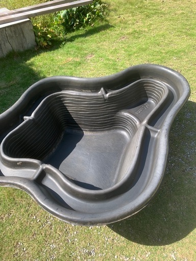 ウォーターガーデン池　ビオトープ