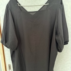 ゴールドジャパンレディース夏物トップス5Lの画像