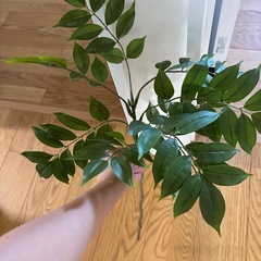 フェイク観葉植物の画像