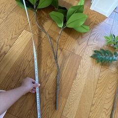 フェイク観葉植物の画像