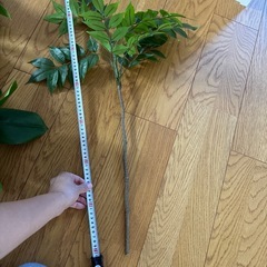 フェイク観葉植物の画像