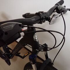 BIANCHI KUMA　27.3　19inch Lの画像