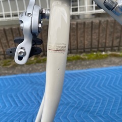 アラヤディアゴナールフレームセット　USED サイズ54の画像