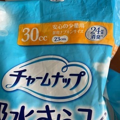 チャームナップ 吸水さらフィ 30cc  23cmの画像