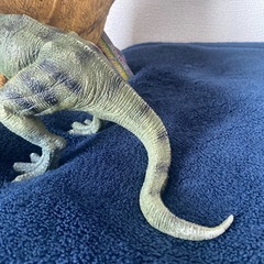 恐竜のソフビ、フィギュア　2点セット🦖の画像