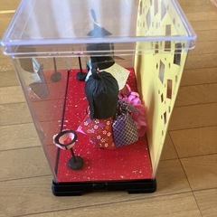 すこやか人形の画像
