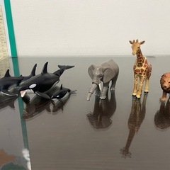 アニアなど（約70体）の画像