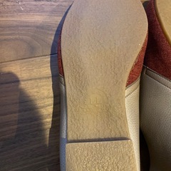 秋色　やわらか靴の画像