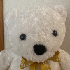 白いくまのぬいぐるみの画像