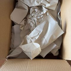【未開封新品】イカリ消毒 カメムシ駆除用スプレーの画像