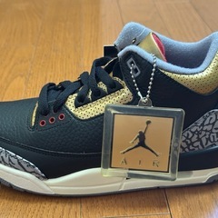 NIKE  エアージョーダン3 レトロの画像