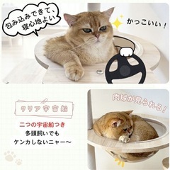 キャットタワー　透明宇宙船付き
の画像