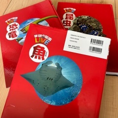 学研の図鑑LIVE 魚　恐竜　昆虫の画像