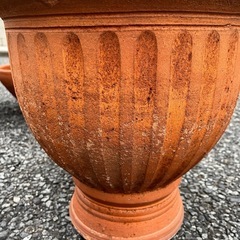 鉢植え差し上げます！
の画像