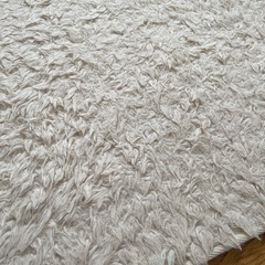 シャギーラグの画像