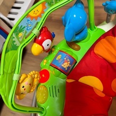 レインフォレスト ジャンパルー の画像