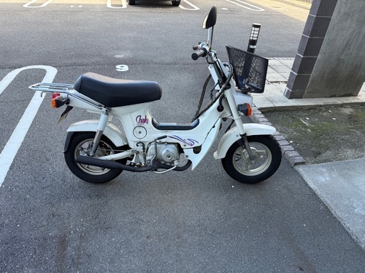 角目シャリー　CF50