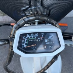 角目シャリー　CF50の画像