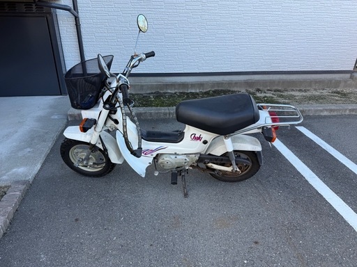 角目シャリー　CF50