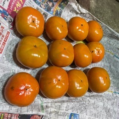 甘くて美味しい次郎柿 無農薬 24個の画像