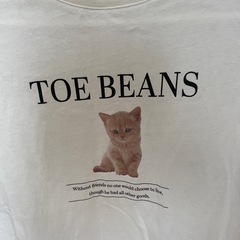 ハニーズ　Tシャツの画像