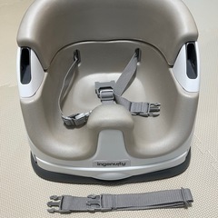 インジェニュイティ(Ingenuity)の画像