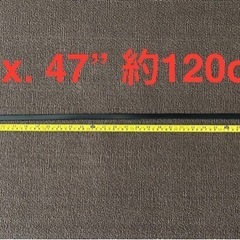 ペット犬
散歩用リードと付属品の画像