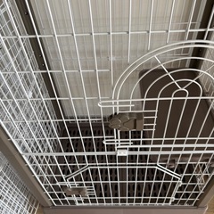 キャットケージ 3ヶ月使用 説明書付 の画像
