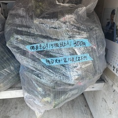茄子なくなる次第終了の画像