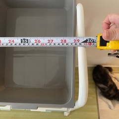 おもちゃ入れの画像