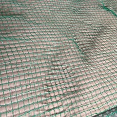 防鳥ネット網？の画像