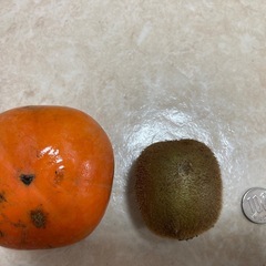 大きな柿とキウイの画像