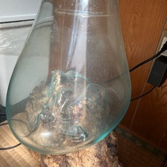 インテリア水槽の画像